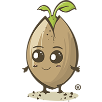 SeeddeeS favicon