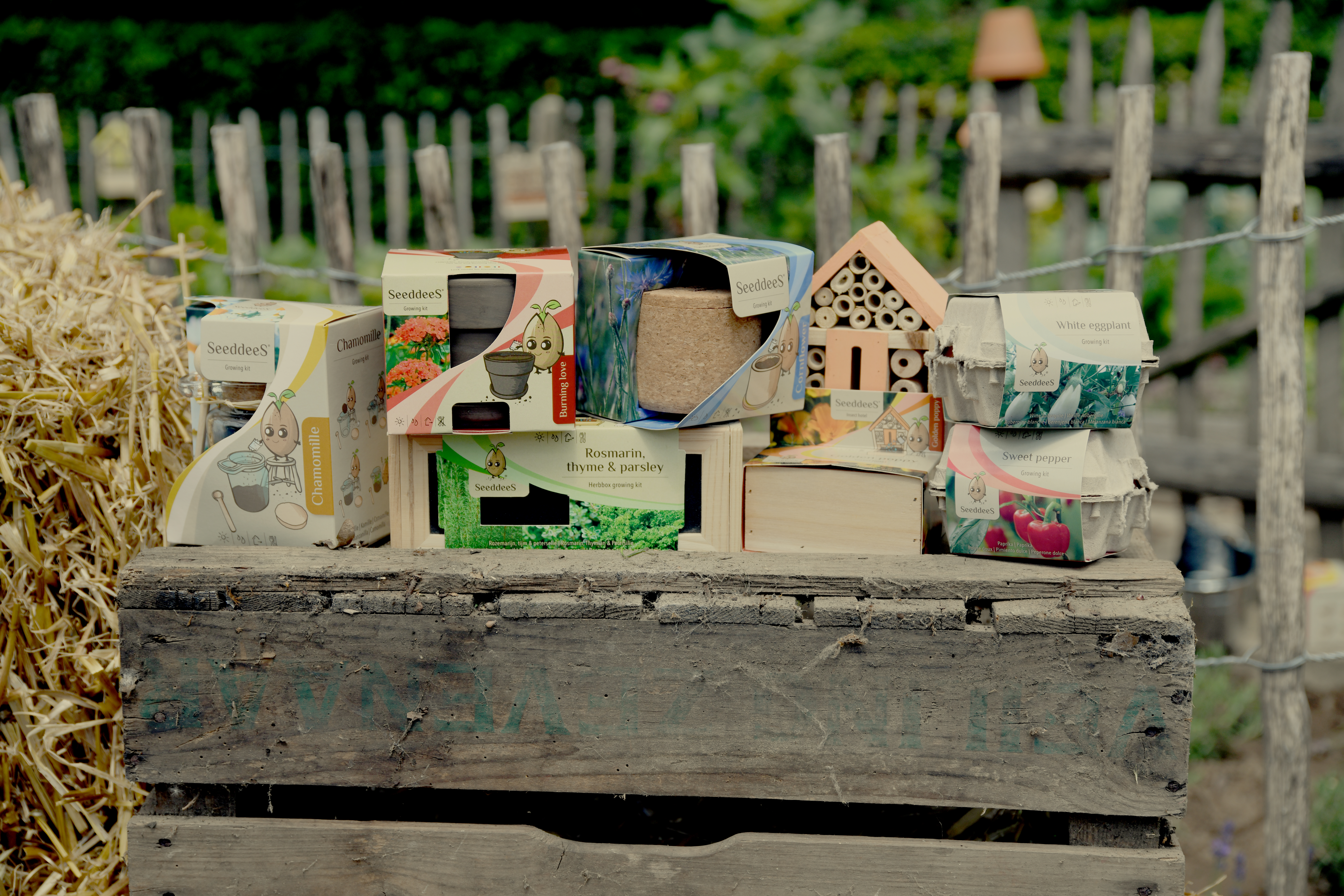 De SeeddeeS® Wintergids: Binnen voorzaaien in de koude maanden