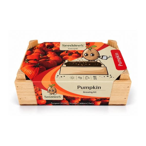 SeeddeeS kweekset houten kist - Pompoen